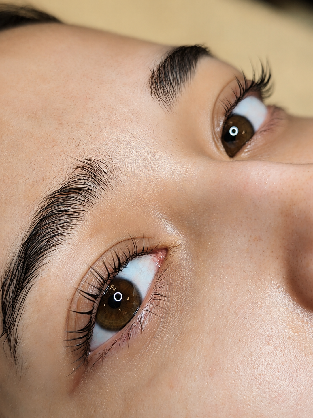 Detailaufnahme – Wimpernlifting Ergebnis